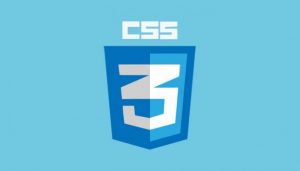 CSS – The Complete Guide 2025 (incl. Flexbox, Grid & Sass)